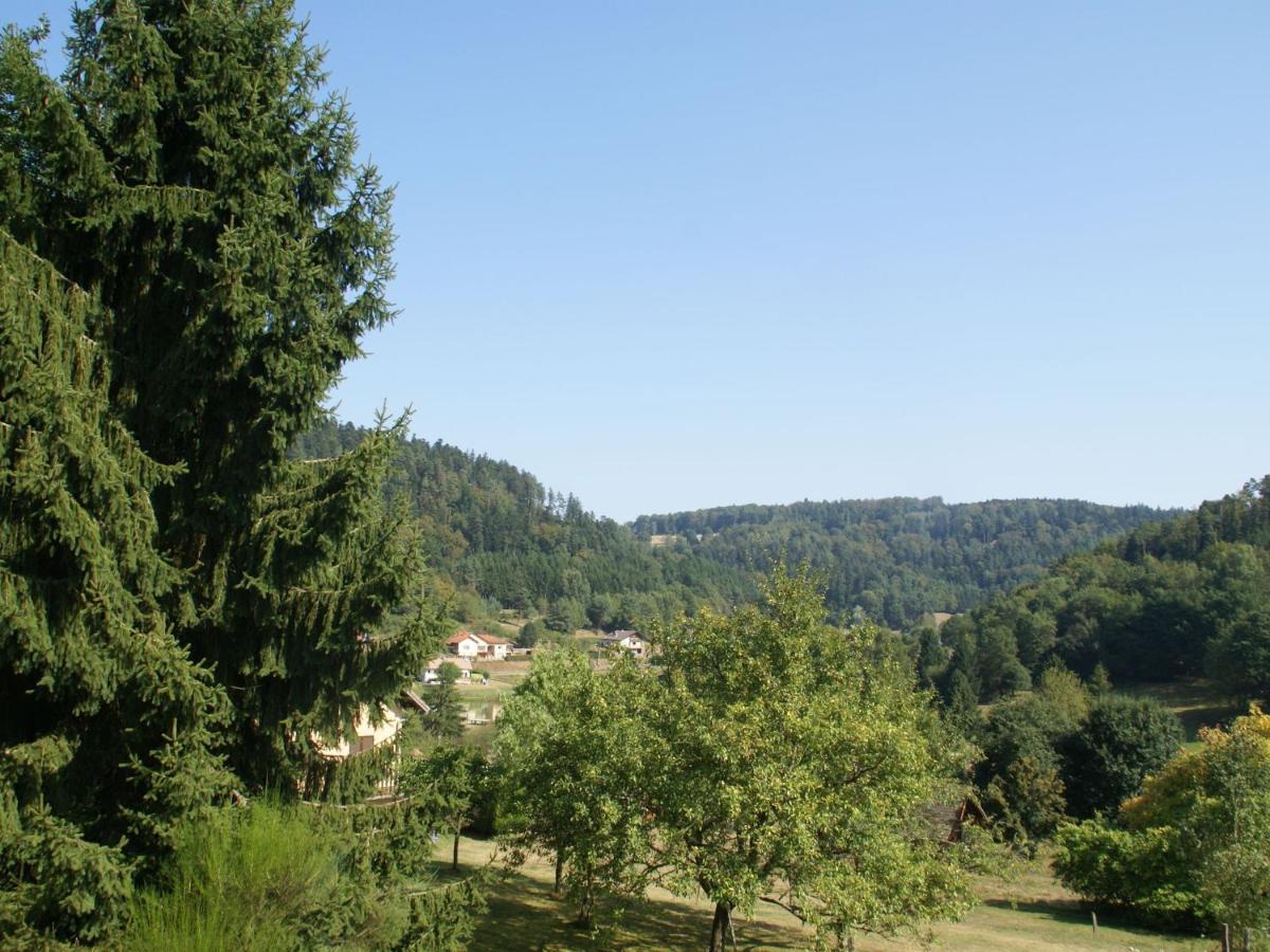 Charming Chalet In Ventron With Terrace الغرفة الصورة